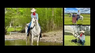 Flea Bitten Tennessee Walking Gaited Trail Gelding For Sale