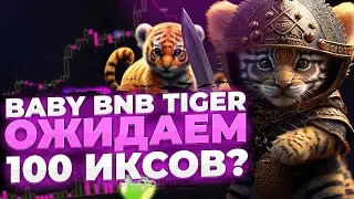 Baby BNB Tiger - ГЕМ проект с ИКСАМИ в 2023? | Обзор 