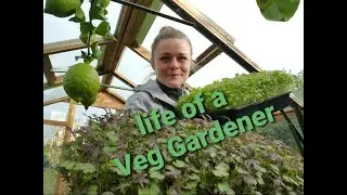 Life of a Vegetable Gardener (Monday)