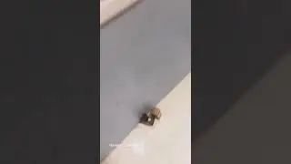 Juan De Dios Pantoja y Kimberly Loaiza Decoran la habitación de su bebé