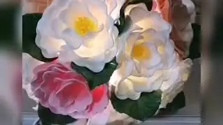2 ноября 2020 г.