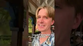 When skaters visit a theme park 🎢                       With 