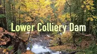 Lower Colliery Dam - Nanaimo BC 🇨🇦