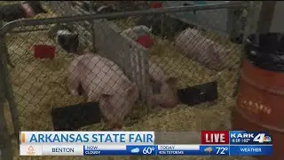 Kristen Live at the Fair 3