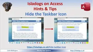 Hide the Taskbar Icon