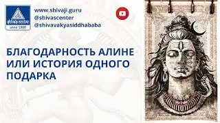 БЛАГОДАРНОСТЬ АЛИНЕ ИЛИ ИСТОРИЯ ОДНОГО ПОДАРКА