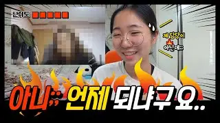 비전공자, 문과도 코딩을 해야 할까? 개발자 팩트체크!!