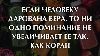 Хусейн Джамбетов сделает фарш из Хасана Халитова