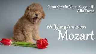 Classical Music for Studying and Relaxation - Mozart Sonata No. 11 K. 331 - III. Alla Turca