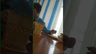 вечная память котлетке