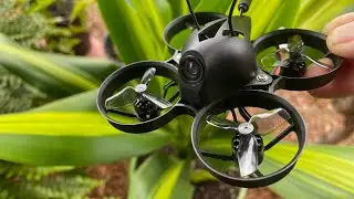 PERFECT BEGINNER DRONE - iFlight Alpha A65 Drone - REVIEW & FLIGHTS