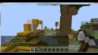 Прогулки по MinePlex №1 - SuperSmashMobs
