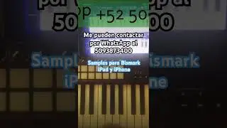 Samples para Bismark Bs16