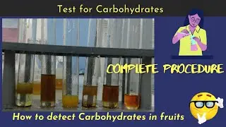 Test for Carbohydrates /Qualitative phytochemical screening / Complete procedure part 3