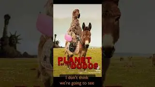 #dodo
