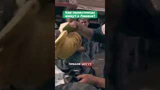 КАК ОНИ ВЫЖИВАЮТ?