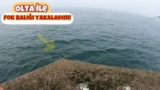 Olta İle Fok Balığı Yakaladım!!