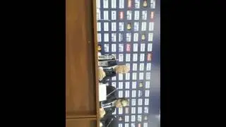 dynamo ru   Поражение по буллитам  Послематчевая прессконференция