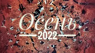 Осень 2022. Санкт-петербург.