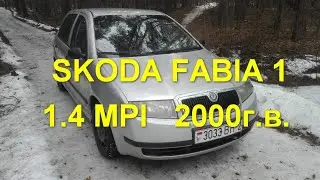 Skoda Fabia 1 1 4 2000 г в