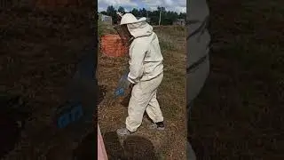 Результат обработки. 