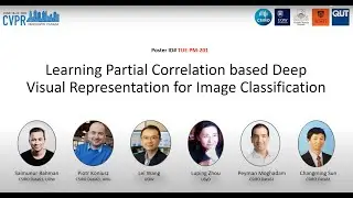 [CVPR2023] Learning Partial Correlation based Deep Visual Representation for Image Classification