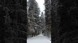 Спиридон Солноворот - праздник рождения Нового Солнца / Месяцеслов древних славян