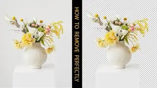 How to Remove Background from any image : Photoshop Tutorials