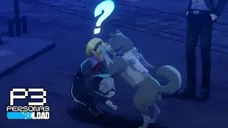 This is the cutest thing I have ever seen.  - Persona 3 Reload