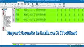 How to report tweets in bulk on X (Twitter) via TweetAttacksPro