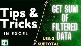 SUBTOTAL function | Get the Sum of Filtered data in Excel | Excel Tips and Tricks | Subtotal Formula