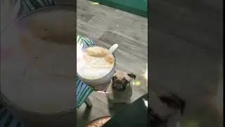 Московский позитив