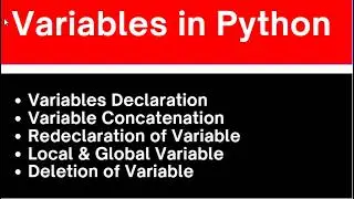 Python programing, declare,redeclare,delete & concatenation of var,local & global variable in python