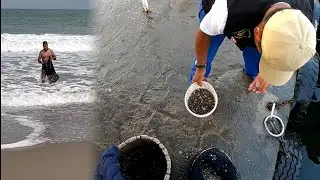 MI OTRO TRABAJO EN LA PESCA ARTESANAL | ¿Cuánto gane?  | Tablita Fishing