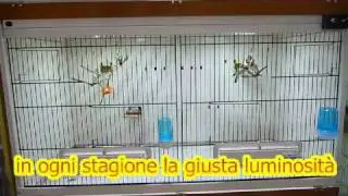 gabbia tecnologica con i led