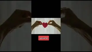 цените друг друга 