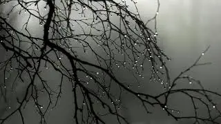 10 HORAS - Som de Chuva para Relaxar e Dormir