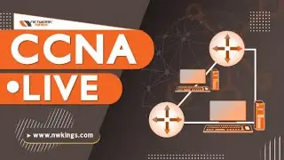 Day 1 - CCNA LAB | How to Download Packet Tracer |  Network Kings