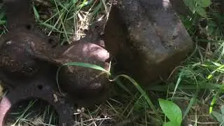 Много металла на старых урочищах