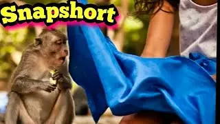 Epic Pictures funny pictures 
New Snapshorts in [HD] FunnyThinks
