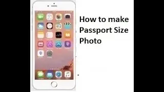 How to Make Passport Size Photo in MS Word