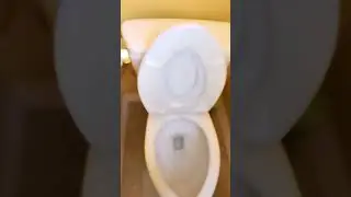 Send This To Someone With A Dirty Toilet