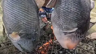 inihaw na Pakol at Kinilaw na Pusit sa Tanghalian! 😱