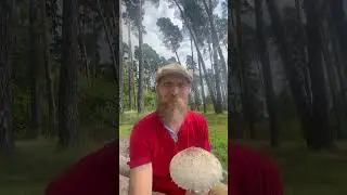Греби Знания в Буковнике.
