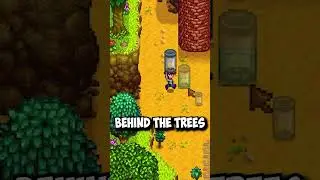 Stardew Valley secret - Strange Capsule