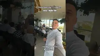 Червона рута в унісон 🫶 insta: olejik_vok #олегковальчук #ведучийнавесілля #вінниця