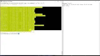 Ansible  Command and RAW Module