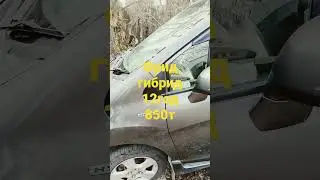 фред гибрид 12 год 850000 руб