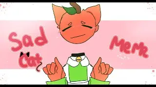 Sad cat meme/ Andy's Apple Farm/ F.t Andy and Peter