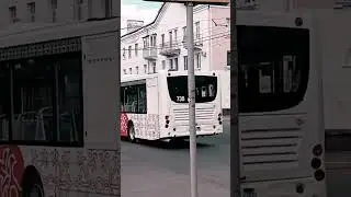 Троллейбус 259- ЗиУ 682Г 016.04 и автобус Volgabus 738